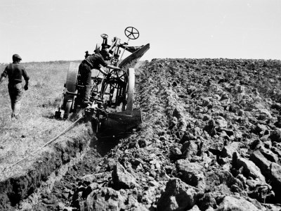 Foto dei lavori di scasso con aratro monovomere voltarecchia trainato da macchine a vapore Fowler (soprannominata 'favola')