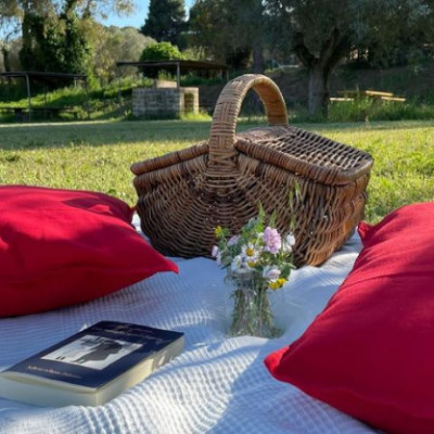 Telo con cuscini e cestino del picnic
