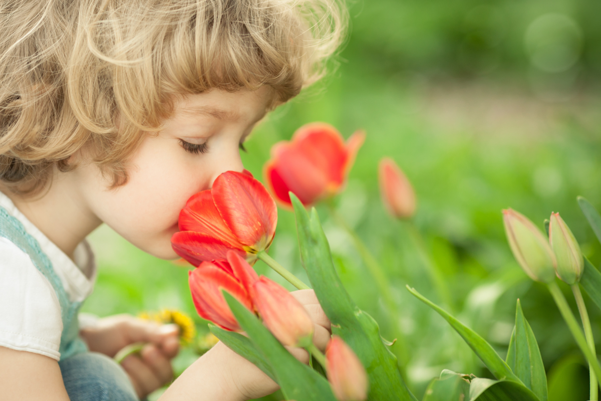 bimbo con tulipani di diversi colori