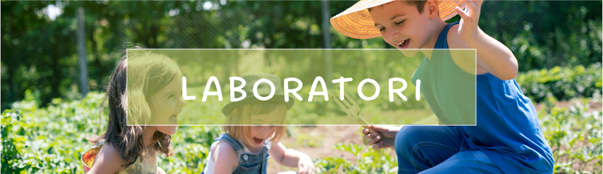 Sezione laboratori