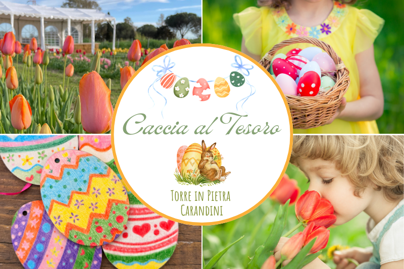 Brindisi tra più persone con bicchieri di plastica trasparenti pieni di vino rosso