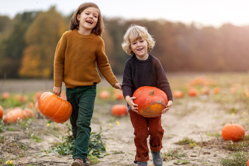 Bambini con zucche in un campo