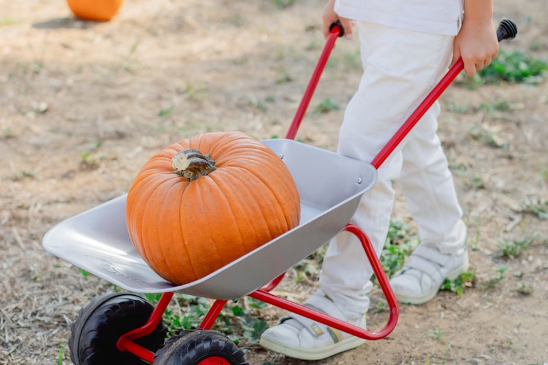 Papà e bambino che partecipano insieme a una gara con i sacchi di juta su un prato, con altri visitatori e balle di fieno sullo sfondo durante l'evento autunnale